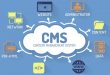 CMS Nedir